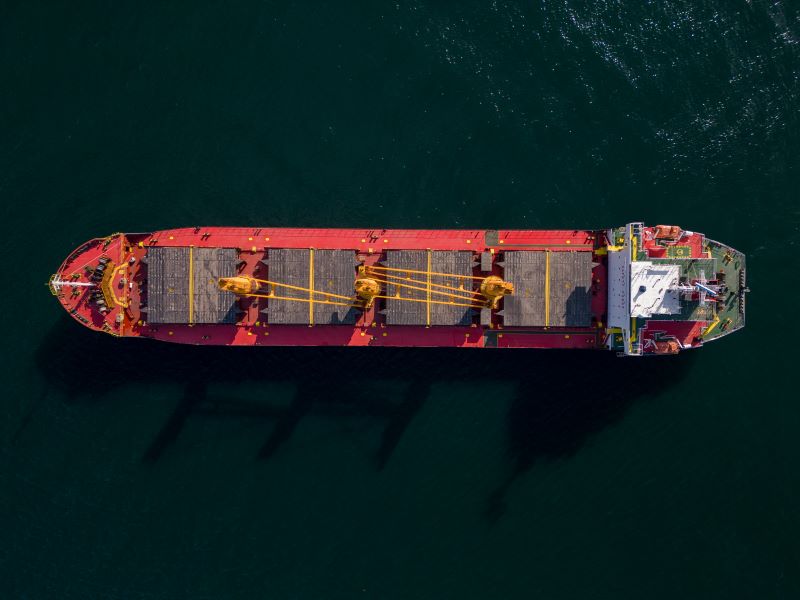 ocean freight forwarders