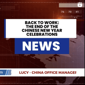 back to work lucy news