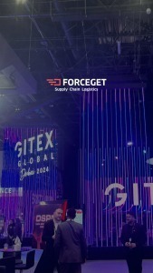 Gitex Fest