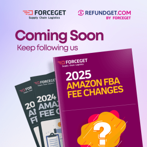 Amazon Fba Fees 2025